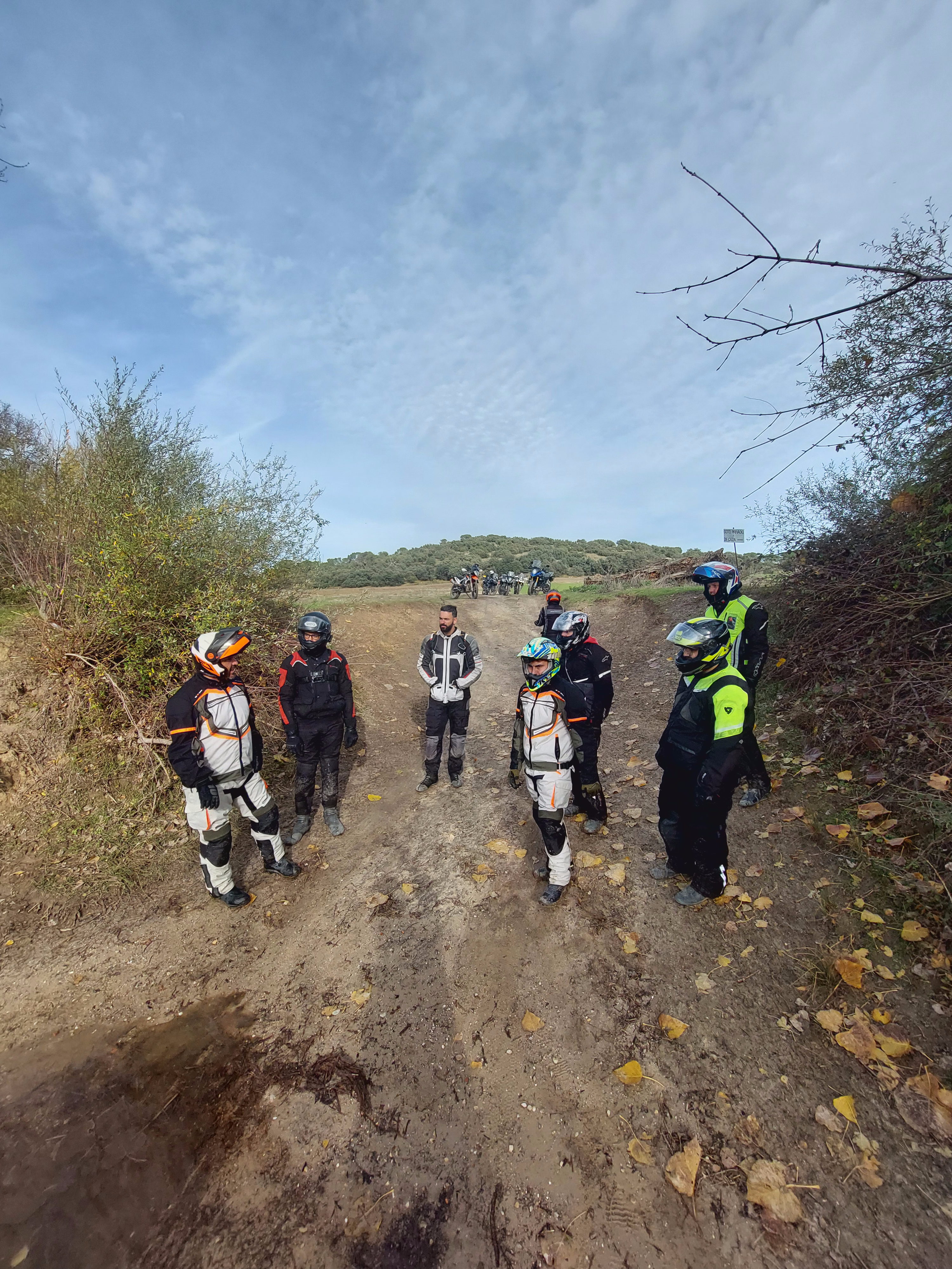 50/50 ¿Esto que es?